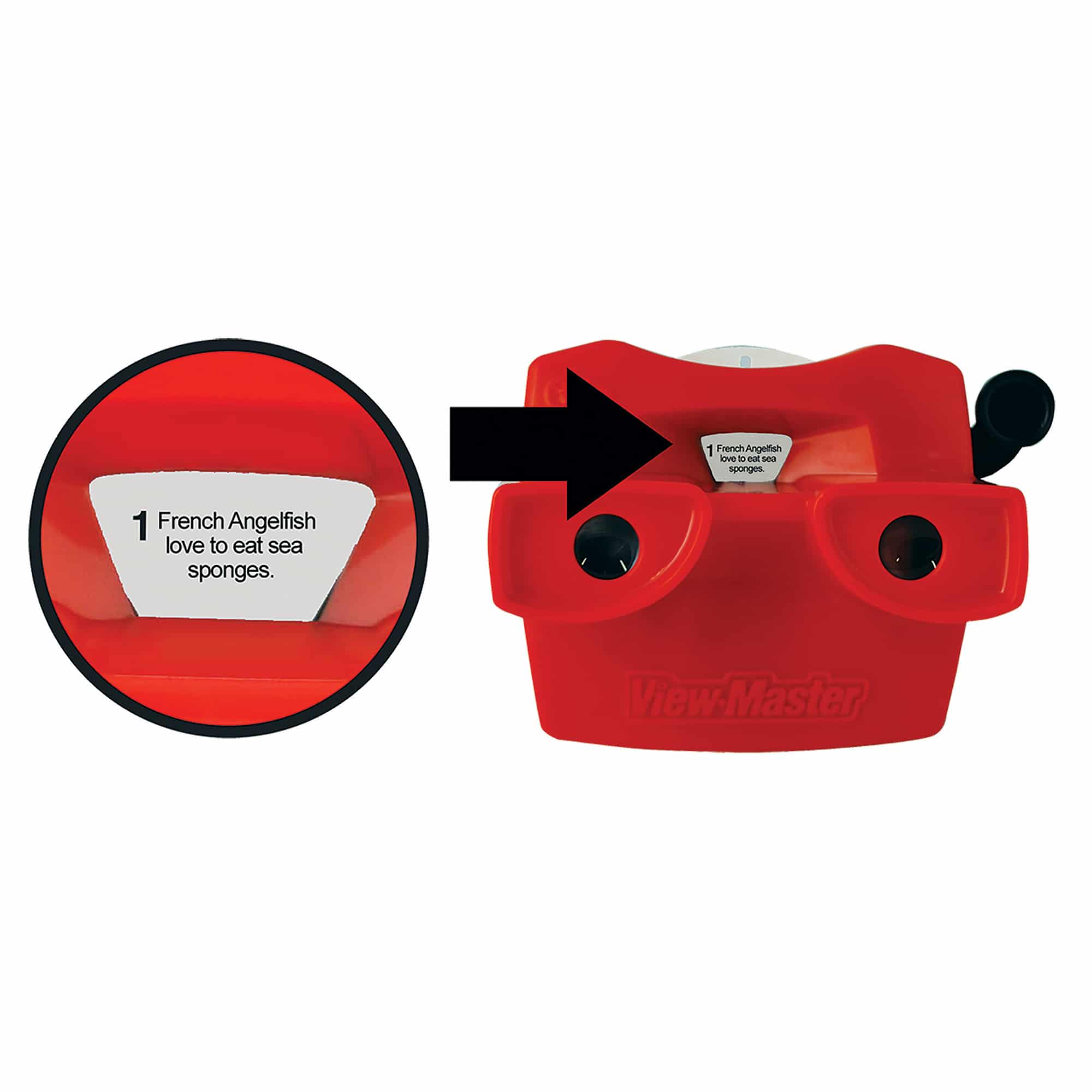 Viewmaster Boxed Set - Image 4