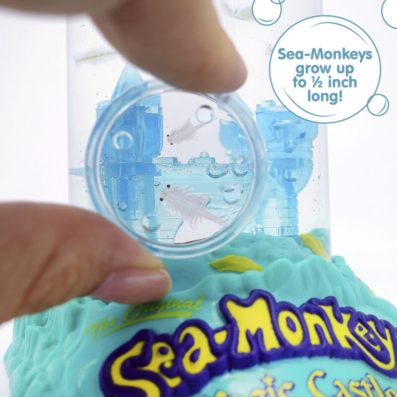 Sea-Monkeys Magic Castle - Image 4