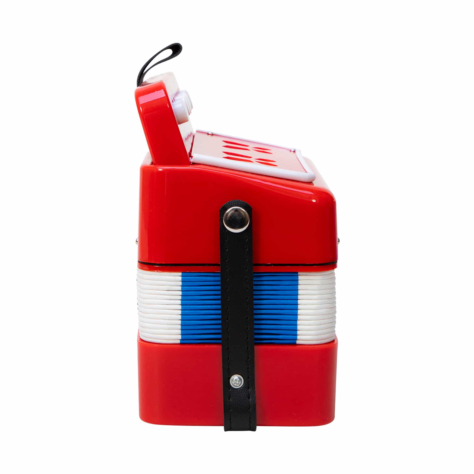 Accordion - Image 7