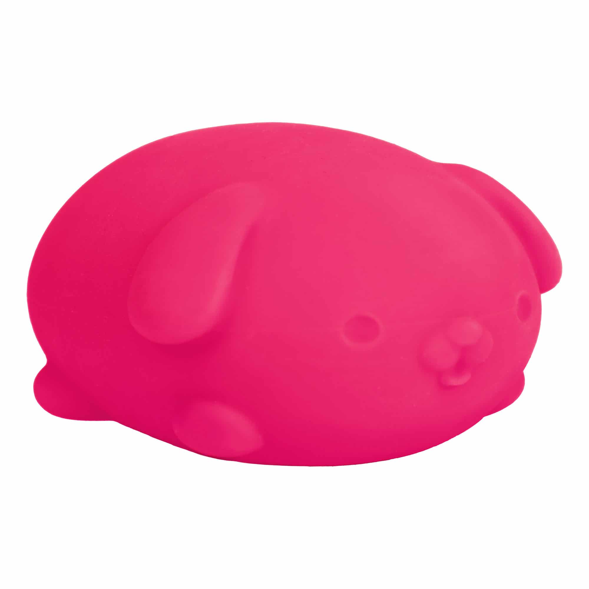 NeeDoh Funky Pup - Image 8