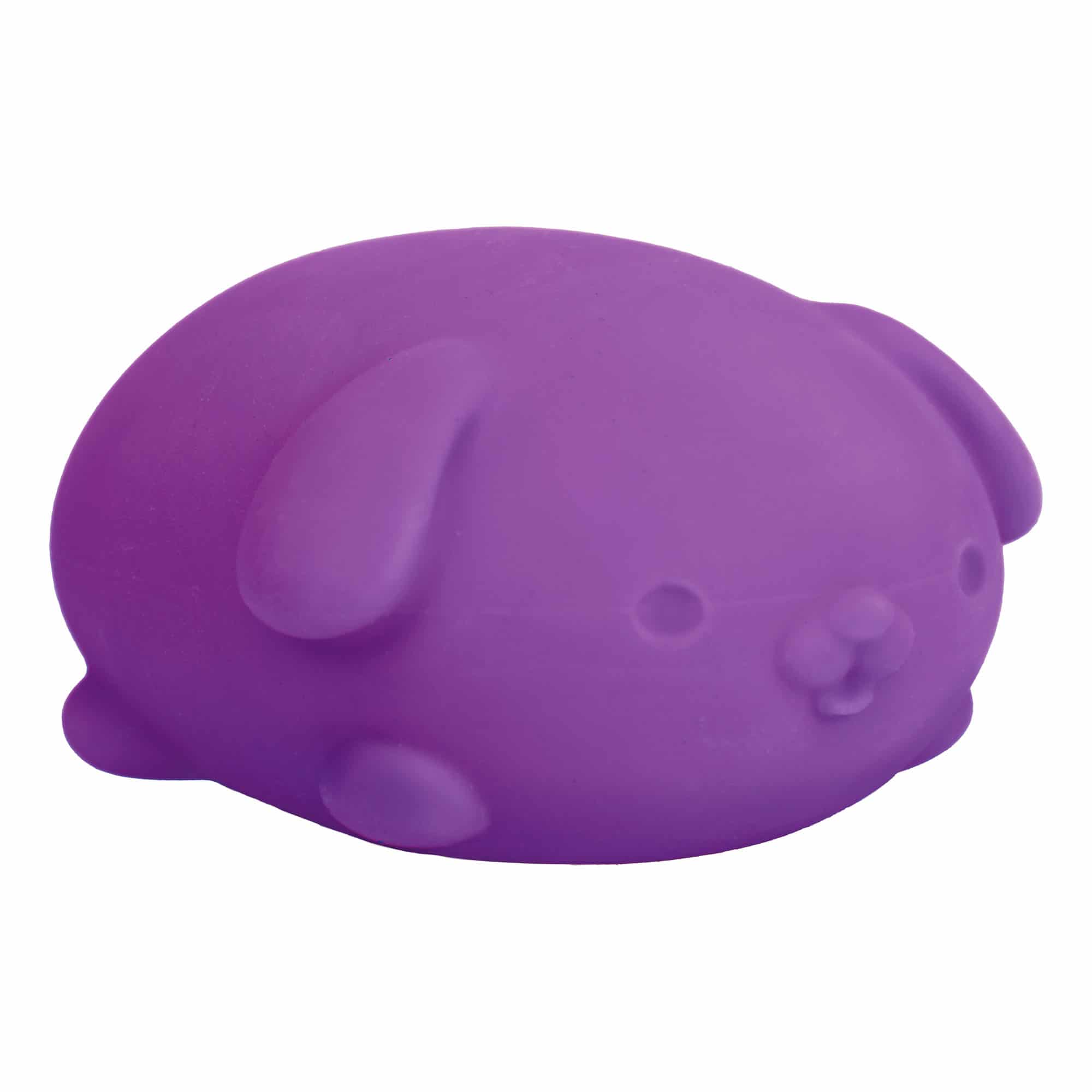 NeeDoh Funky Pup - Image 10