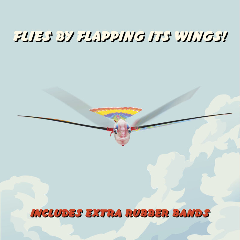 Tim Bird - Image 4